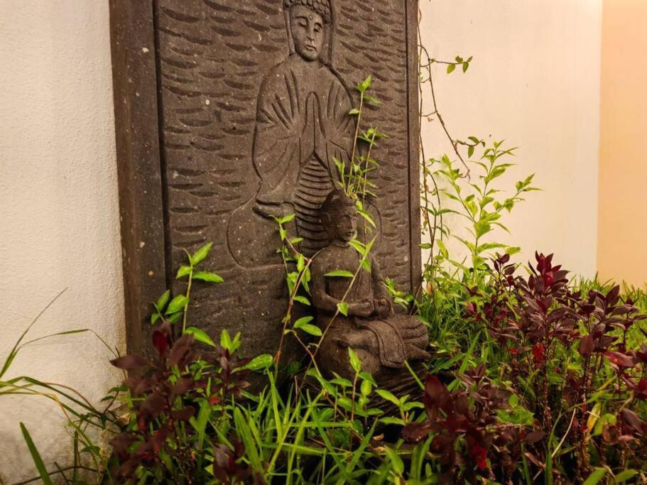 Casa Meraki 克雷塔罗 外观 照片
